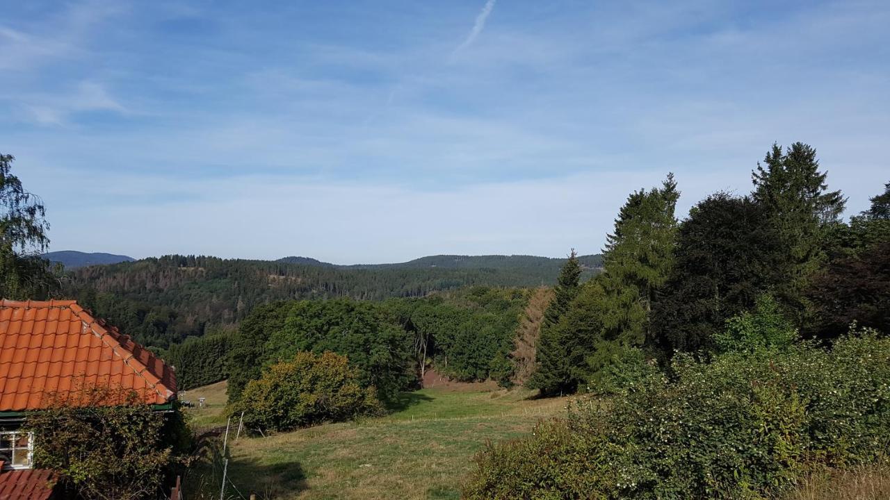 Hotel Silbertanne Hohegeiß Exteriör bild