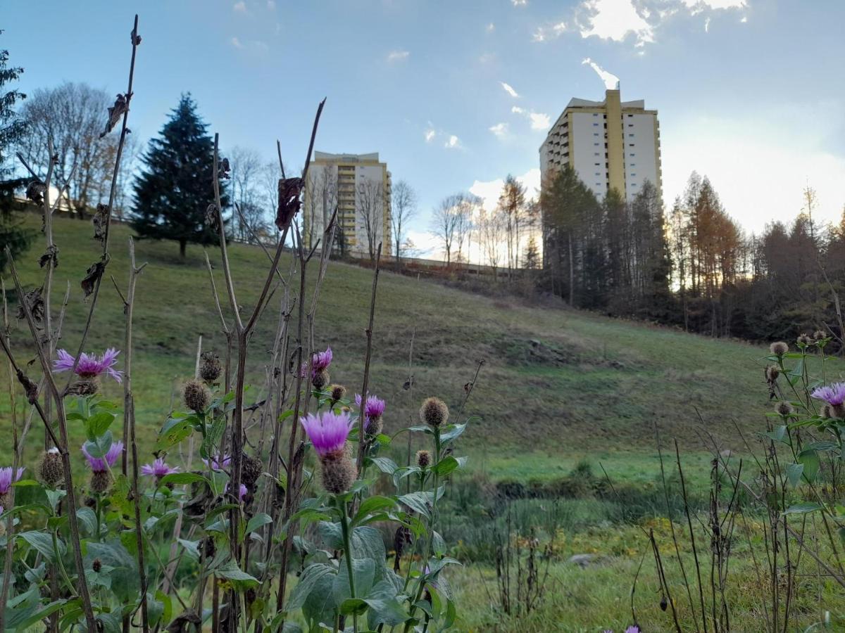 Hotel Silbertanne Hohegeiß Exteriör bild