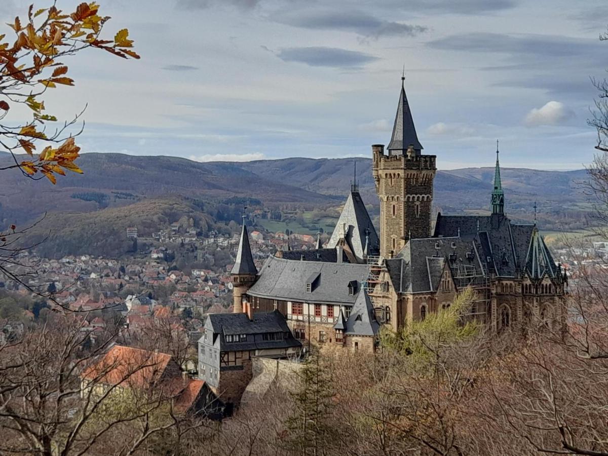 Hotel Silbertanne Hohegeiß Exteriör bild