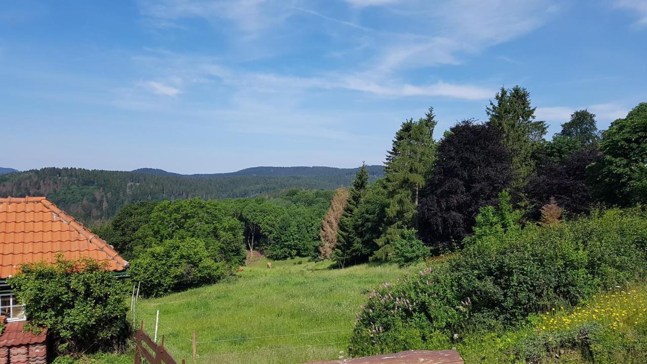 Hotel Silbertanne Hohegeiß Exteriör bild